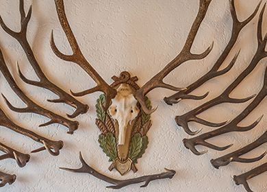 Gasthof Neuwirt Ismaning 5